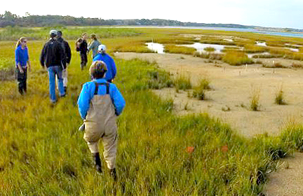 people walking in a marsh